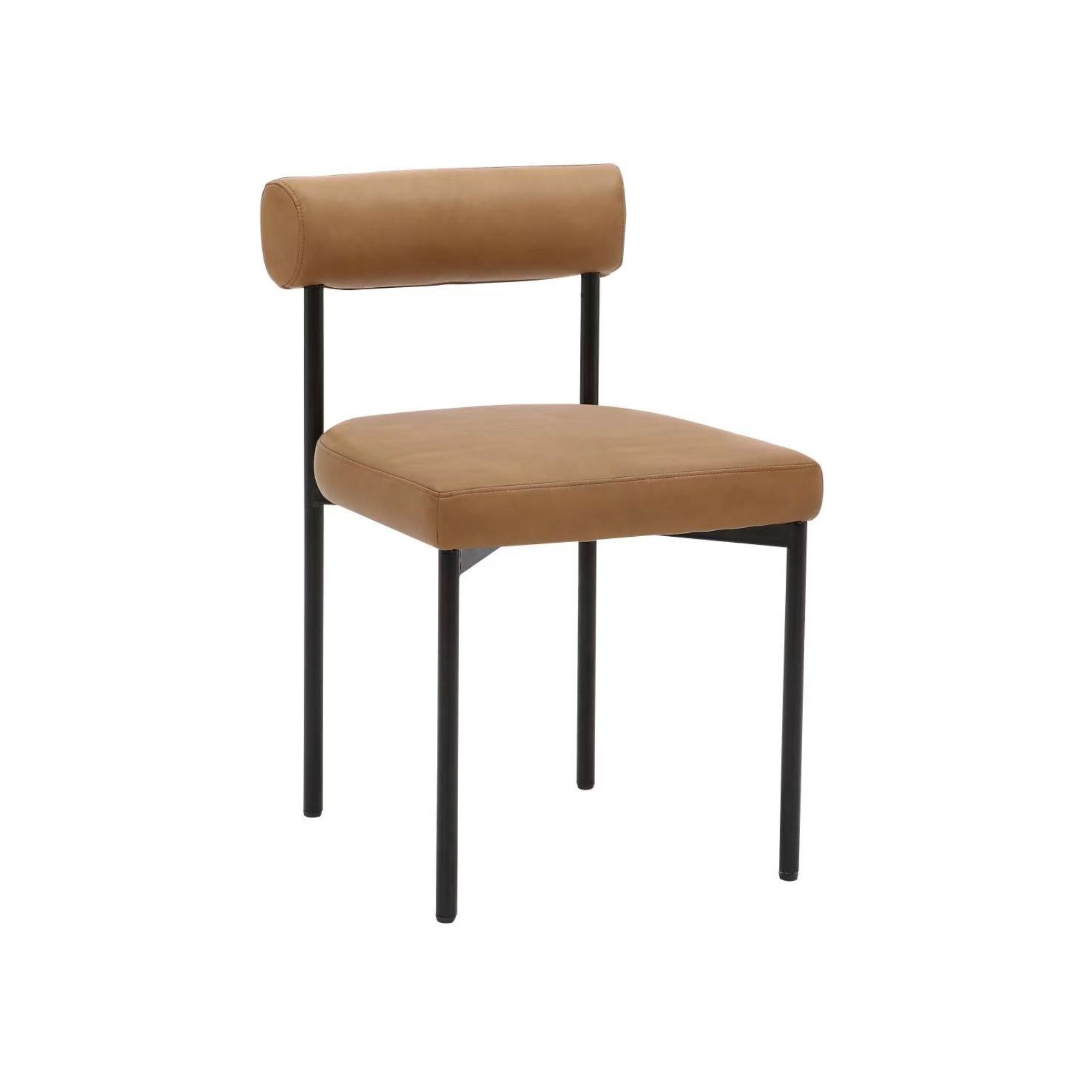Faux Leather Modern Dining Chair (Set of 2)