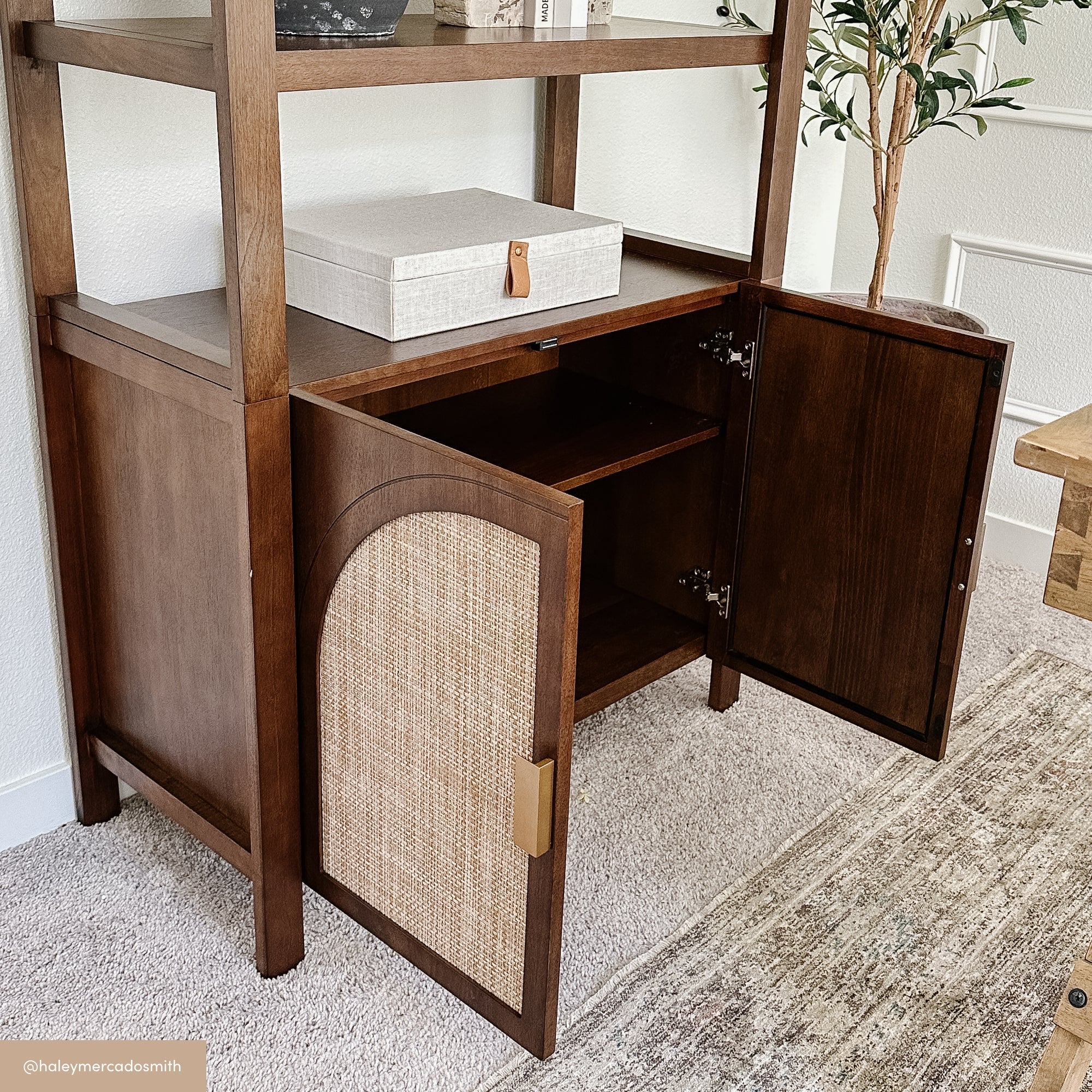Arched Door Rattan Bookshelf with Doors Dark Acacia