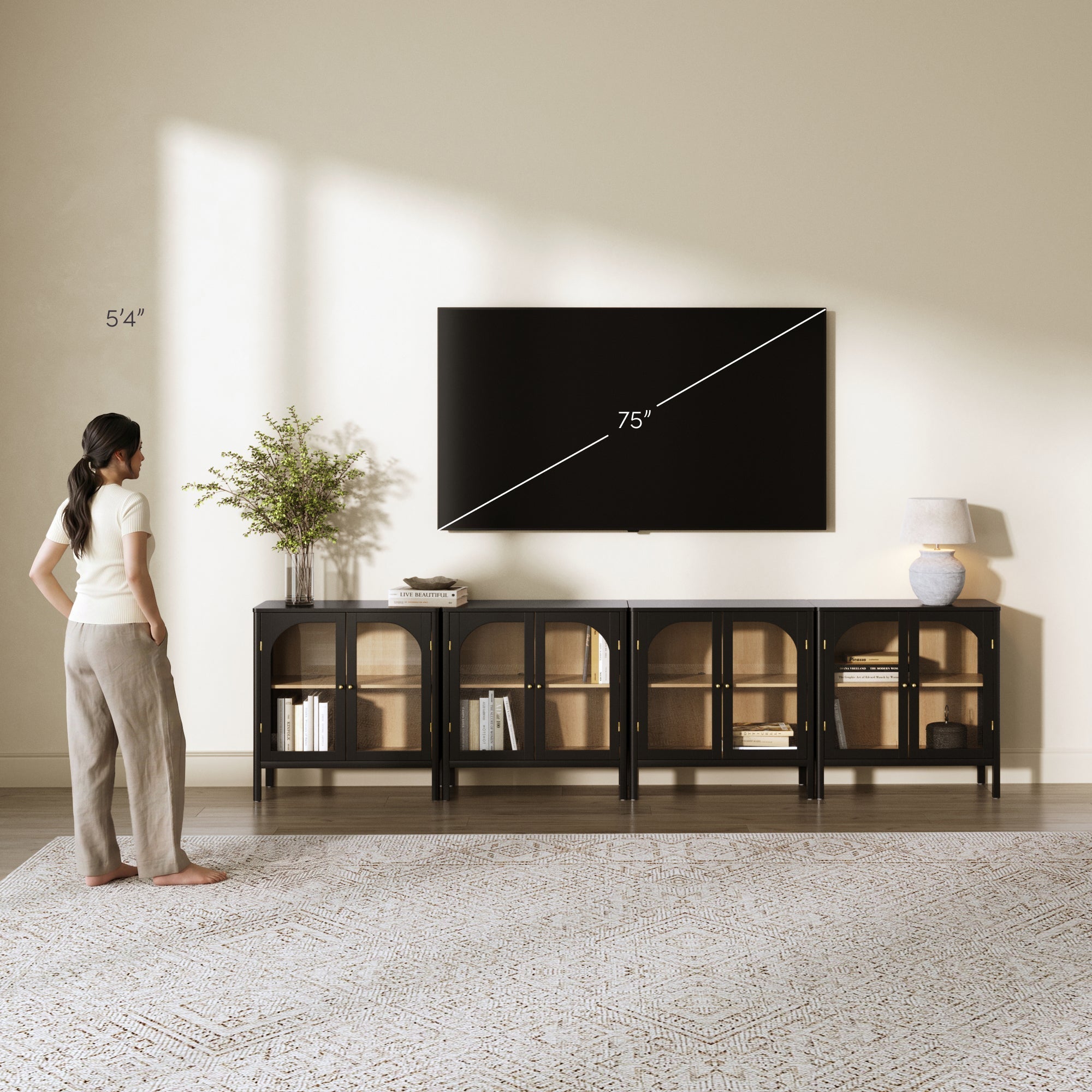Arched Glass Door TV Console for TVs up to 100" Black